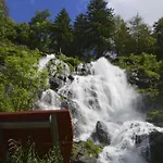 Waldapartments 아파트