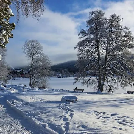Waldklang - Mit Terrasse Und Gartenzugang * تيتيسي نيوستادت