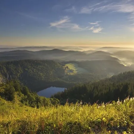 Waldklang * Titisee-Neustadt