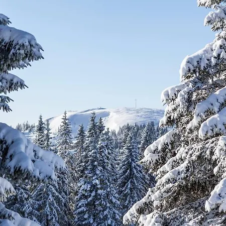 Waldklang - Mit Terrasse Und Gartenzugang شقة