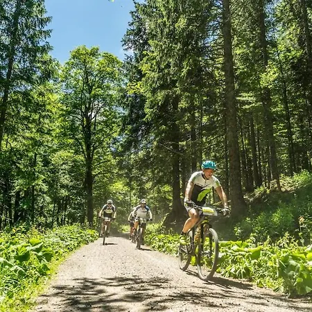 Waldklang - Mit Terrasse Und Gartenzugang *