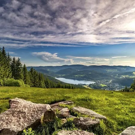 Waldklang - Mit Terrasse Und Gartenzugang تيتيسي نيوستادت