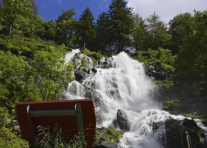 Waldapartments Lejlighed