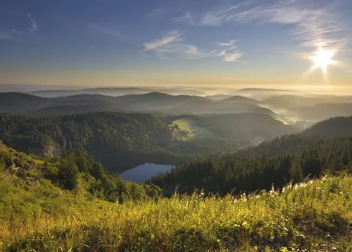 Waldapartments * Titisee-Neustadt